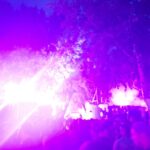 Whole 2025 jour 3 : sex, drugs & Whole new world